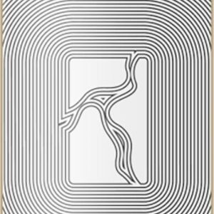 Photo de la planche poetic collective optical black