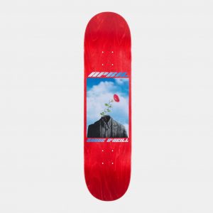 photo de la planche shane o'neill rocked