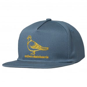 photo de la casquette antihero basic pigeon slate