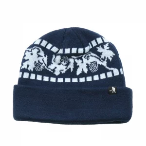 photo du bonnet passport vine navy white