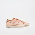 photo de la chaussure nike sb dunk low premium trocadero