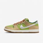 photo de la chaussure de skateboard nike sb escargot