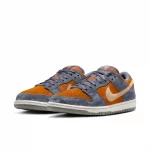 photo des nike sb dunk low light carbon