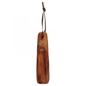photo du chausse pied magenta plant shoehorn