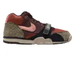 photo de la chaussure de skate nike sb air trainer arts and rec