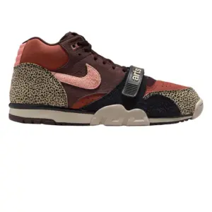 photo de la chaussure de skate nike sb air trainer arts and rec