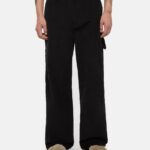 photo du pantalon de skate dickies ca