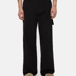 photo du pantalon de skate dickies ca
