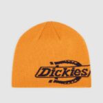 photo du bonnet dickies summerdale pumpkin spice