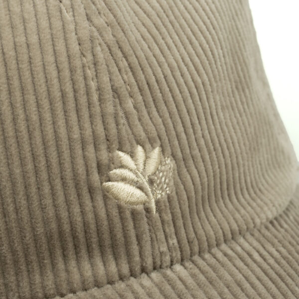 XUDU08eWSjvGm1eUFYEuZ8e4M7r7WT5p2ka224mn