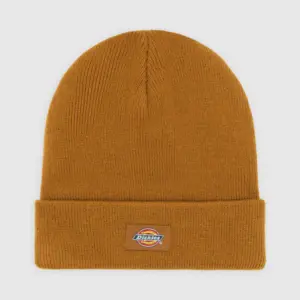 photo du bonnet dickies gibsland brown duck