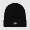 photo du bonnet dickies gibsland black