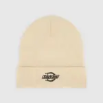 photo du bonnet dickies summerdale desert sand