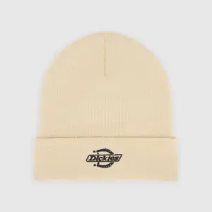 photo du bonnet dickies summerdale desert sand