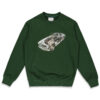 Photo du pull de skateboard the loose co car crewneck