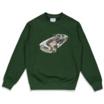Photo du pull de skateboard the loose co car crewneck