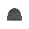 photo du bonnet polar george beanie purple green