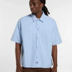photo de la chemise dickies venedocia stripe endless sky