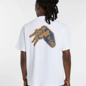photo du tshirt dickies plain city white