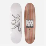 photo de la planche de skateboard into the wild jullien guepard