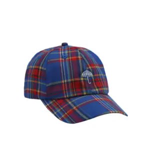 photo de la casquette de skateboard helas laurent cap check blue