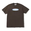 photo du tshirt de skateboard butter tide tee chestnut