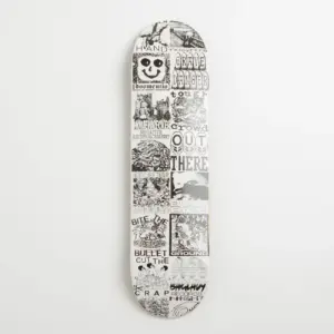 photo de la planche de skateboard baglady recors 2