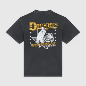 photo du tshirt de skateboard dickies gainesville black