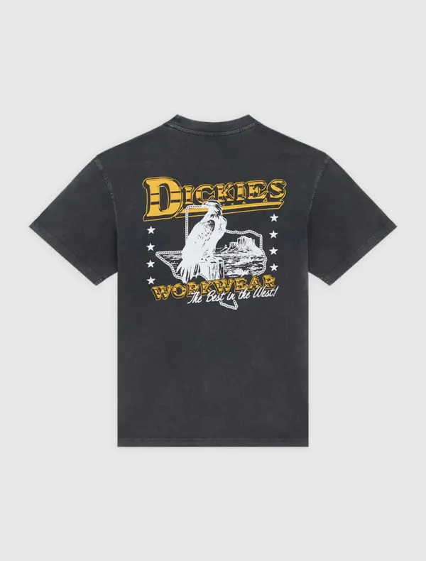 photo du tshirt de skateboard dickies gainesville black
