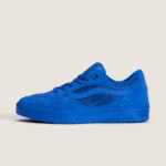 photo de la chaussure de skateboard vans rowan z3 blue