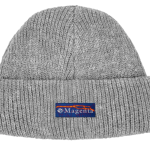 photo du bonnet magenta city beanie grey