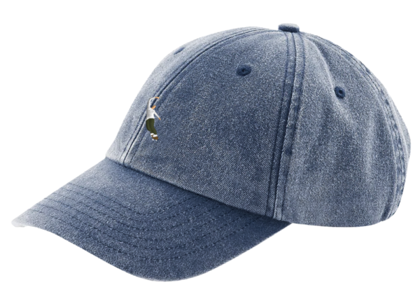 Photo de la casquette magenta pws dad hat denim
