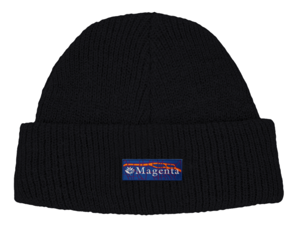 photo du bonnet magenta city beanie black