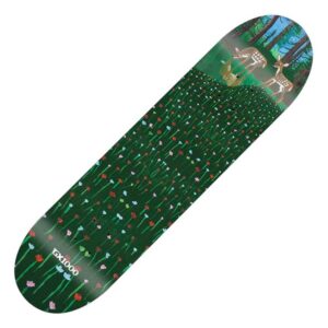 photo de la planche de skateboard gx1000 buck 8.25