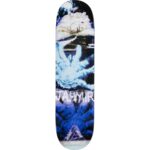 photo de la planche de skateboard palace jahmir pro s45